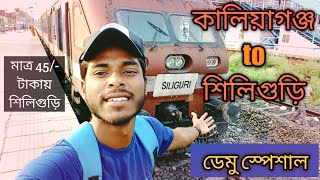 07507 Radhikapur-Siliguri junction Demu Special | Kaliaganj To Siliguri Train Journey |Travel vlog |