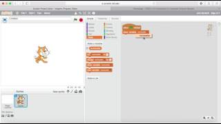 Show Variable Scratch Data Block Orange