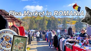 Daily Life in Romania after Moving from UK, Flea Market \u0026 Kaufland Haul, Silent Vlog ASMR