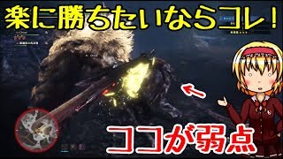 【MHW:I】ラージャン戦ソロ 大剣【ゆっくり実況】