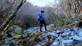 畦ヶ丸山をいく｜かつては秘峰の西丹沢の山。沢に添って登り沢に添って下る。