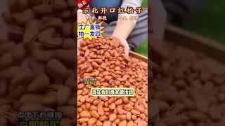 百年樹齡紅松子，開口率≥99%，顆顆飽滿，多吃松子可以潤腸通便，老人 小孩和孕婦一定要多吃！