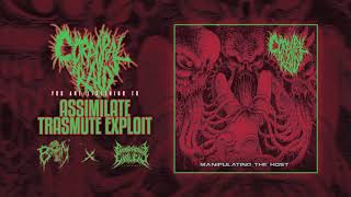 CORPORAL RAID - Assimilate Trasmute Exploit | PATHOLOGICAL EXPLICIT Recs | BRUTAL MIND PROMOTION