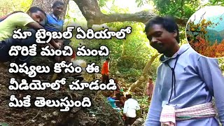 tribal village life మా ట్రైబల్ ఏరియాలో దొరికే మంచి మంచి విషయాలు అని వీడియోలో చూడండి