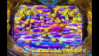 Superyuo0-のパチンコ実践⑤⑨-海物語　金富士ライト、一年で変わる台(1パチ)-