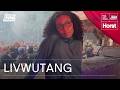livwutang | Kiosk x The Lot Radio at Horst Festival 2026