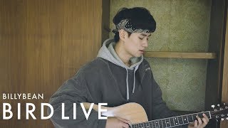 [BILLYBEAN BIRDLIVE] 조용진 - Self Control (Frank Ocean Cover)