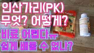 인산가리(PK) 무엇? 어떻게? / 비료 공부 쉽게할 수 없을까요?