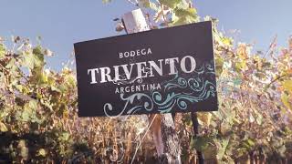 Bodega Trivento | Mendoza