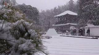 【大雪】雪化粧した京都・銀閣寺（2025年1月10日　京都市左京区）