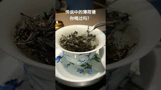 2023-3-23丨普洱茶丨薄荷塘丨订阅我 #tea