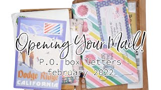 Opening Your Letters! 4 Incredible P.O. Box Mails 📬