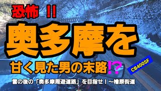 雪の奥多摩周遊道路を目指したけれど⁉️～檜原街道