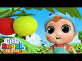 Besuch beim Gemüsebauern | Kinderlieder mit Klein Joni | Little Angel Deutsch