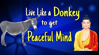Live Like a Donkey to be Sucessful | Zen Story for Peaceful Mind | New Buddhist Story