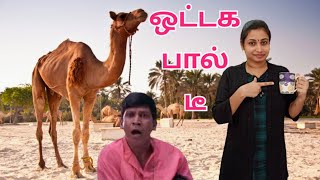 camel milk tea | camel milk tea in tamil | CAMEL MILK | ottaga paal tea |ஒட்டக பால் டீ