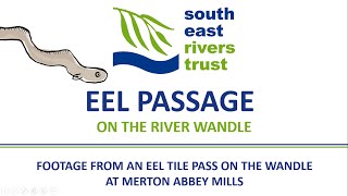 Eel Passage