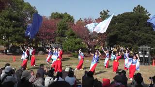 おどるんや秋祭り2014　よさこいち～夢　笑輝①