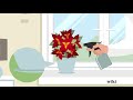 How to Care for Poinsettias