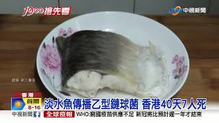 淡水魚傳播乙型鏈球菌 香港40天7人死│中視新聞 20211021