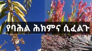 የባሕል ሕክምና ሲያስፈልግዎ ወደ መርጌታ አብርሃም አንዱዓለም ብቅ ይበሉ።