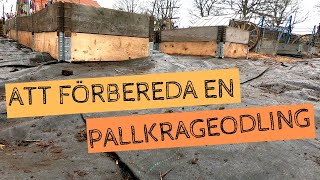 Att förbereda en PALLKRAGEODLING - Använda markduk och fylla pallkragar inför säsongen. TIPS!