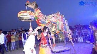 राजस्थानी ऊंट का ऐसा डांस आप ने पहले कभी नहीं देखा होगा | New Marwadi Dj Song 2022 | New Camel dance