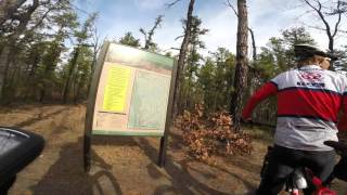 Penn Branch Trail, Wharton State Forest, NJ  12/13/2015