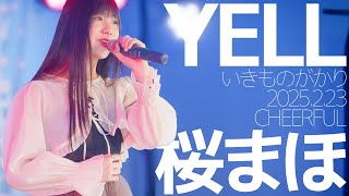 桜まほ(Maho / CHEERFUL) - YELL(いきものがかり) Japanese songs cover / 東京アイドル劇場（アイゲキ）