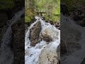 Beautiful Mountain Stream #explorenature#refreshsoul