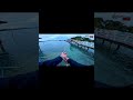 Casting sotong di pulau terindah... #fishing #mancing #pulau #campfishing #shortvideo #shorts