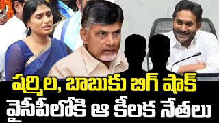 వైసీపీలోకి ఆ కీలక నేతలు | Big Shock To CM Chandrababu , YS Sharmila | Ys Jagan | Praja Chaithanyam