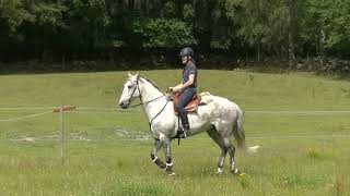 Leka fram svängar i galopp, skifta mellan gas och broms.