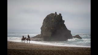 Scouting out the California Coast \u0026 Point Arena (no motorcycle this time)