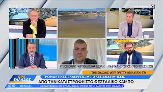 Ελλείψεις και ανατιμήσεις από την καταστροφή στον Θεσσαλικό κάμπο -Τι λέει ο Αντ. Παρ. Λαϊκών Αγορών