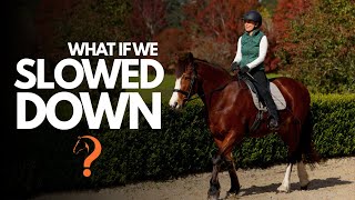 Why 22,000 Horse Owners Are Obsessed with Going Slower