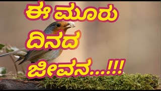 ಈ ಮೂರು ದಿನದ ಜೀವನ...!!! | KANNADA MOTIVATION VIDEO | MOTIVATION VIDEO