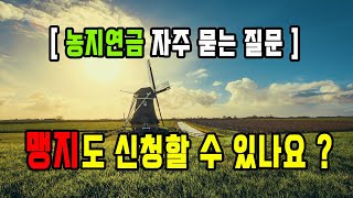 평생 월 300만원 받을 수 있는 농지연금의 가장 자주 묻는 질문 / 농지연금 대상농지 / 맹지도 가능 ? /농업진흥구역/토지경매 /농지연금 월 600만원 받는 노하우 대공개