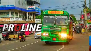 කොල පාටට රුට් එකේ ලස්සනම කෙනා💚😍 PROLINE Bus මාතර බලා චාම් පෑගිල්ලක් 💚😍 STS Videograpy 😁❤💥