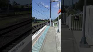 NSW Rail Vlogs Extra Clips: Tangara at Warwick Farm (read desc)