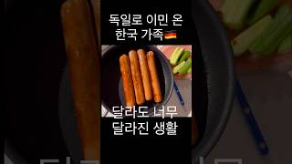 한국떠난 이민생활! 달라도 너무 달라요😨 #집밥 #germany #vlog