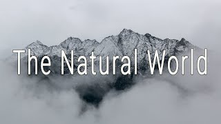 Tao: The Natural World