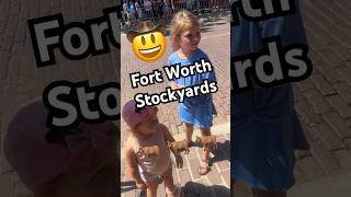 Fort Worth TX Stockyards — Let’s check out the longhorns and cattle drive