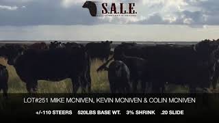 2020 FALL LOT 251 MCNIVENS STEERS