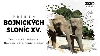 Príbeh bojnických sloníc XV. - Technické riešenia -  Boxy na ustajnenie slonov