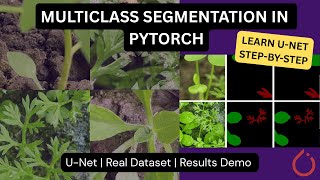 Multiclass Image Segmentation in PyTorch | U-Net Tutorial