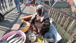 Kashmiri fisherwoman ( gad wajen ) Selling fish on Amira Kadal Bridge pavement, Srinagar,Kashmir