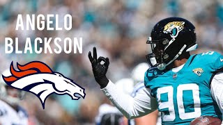 Angelo Blackson || NFL Highlights || Denver Broncos DL
