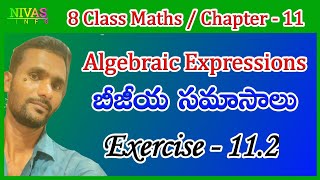 Algebraic Expressions - బీజీయ సమాసాలు | Exercise - 11.2 | 8th Class Math | Chapter - 11 | Nivas Info