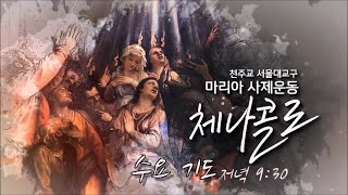 587. 예수 그리스도 홀로 구원자이시다. | 빛의 신비